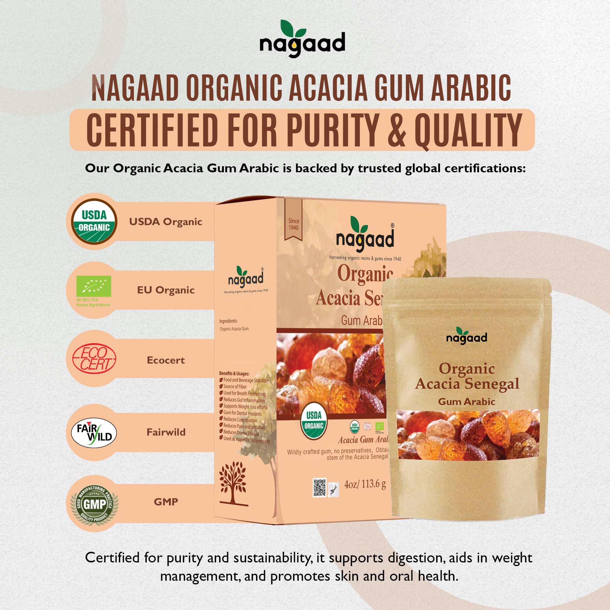 A single monstera leaf in a clear glass vase against a white background.