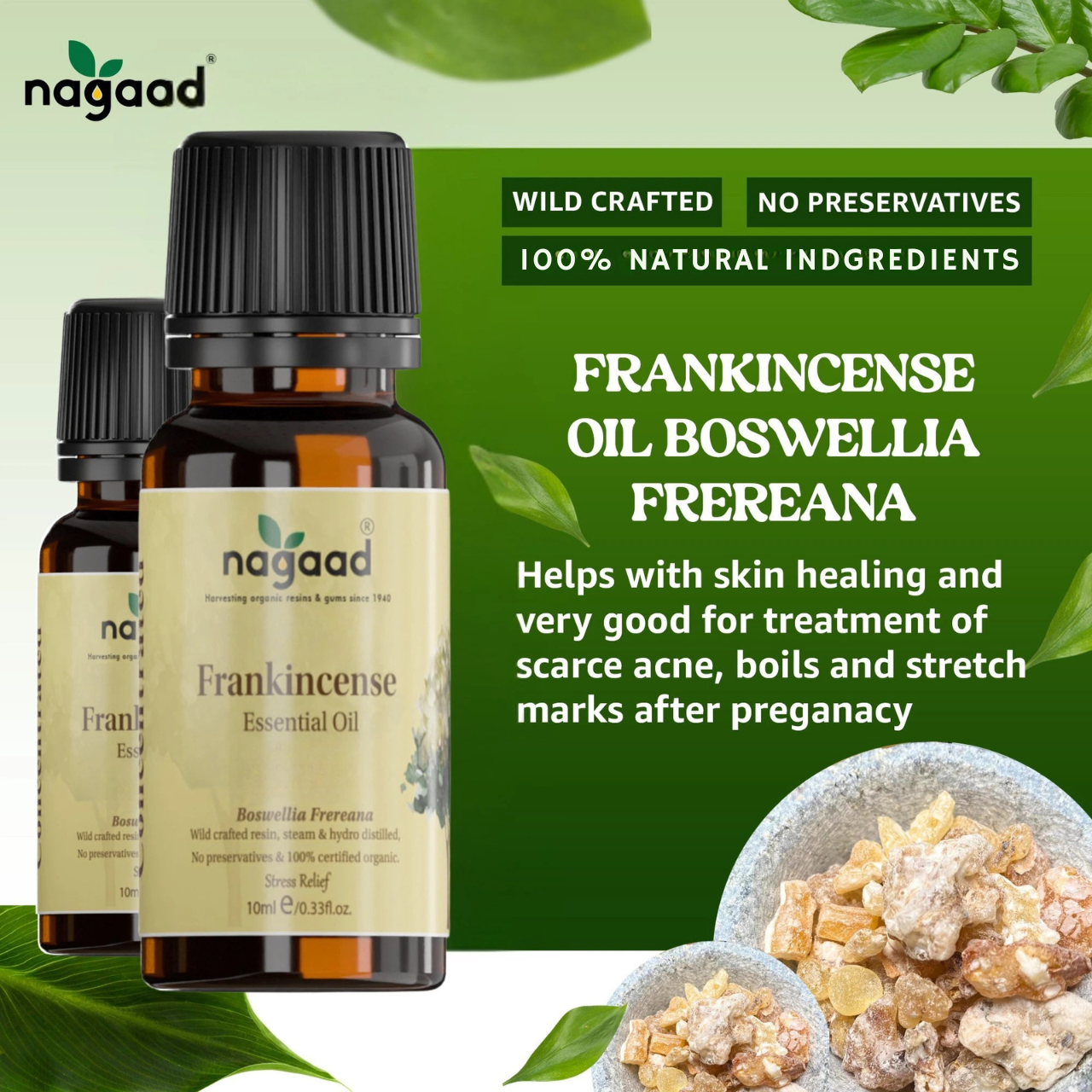 A single palm leaf in a clear glass of water on a white background.