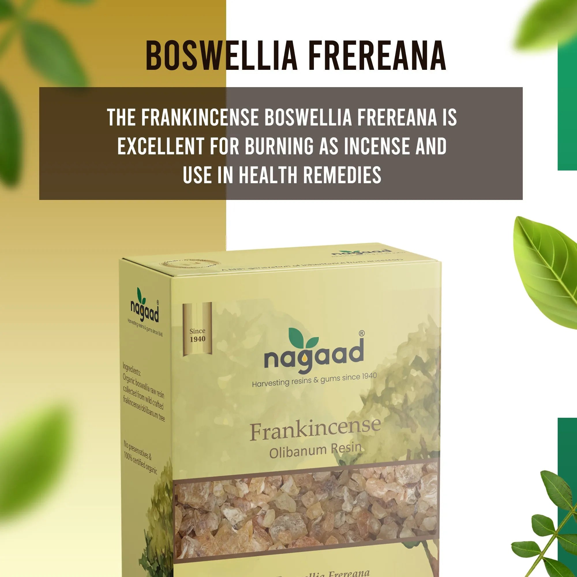 Frankincense Boswellia Frereana Resin