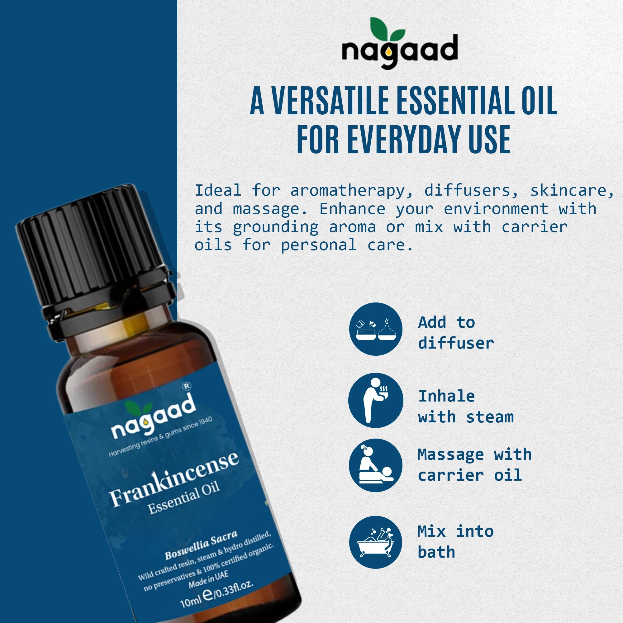 Green palm leaf beside blank white cards on a plain background.