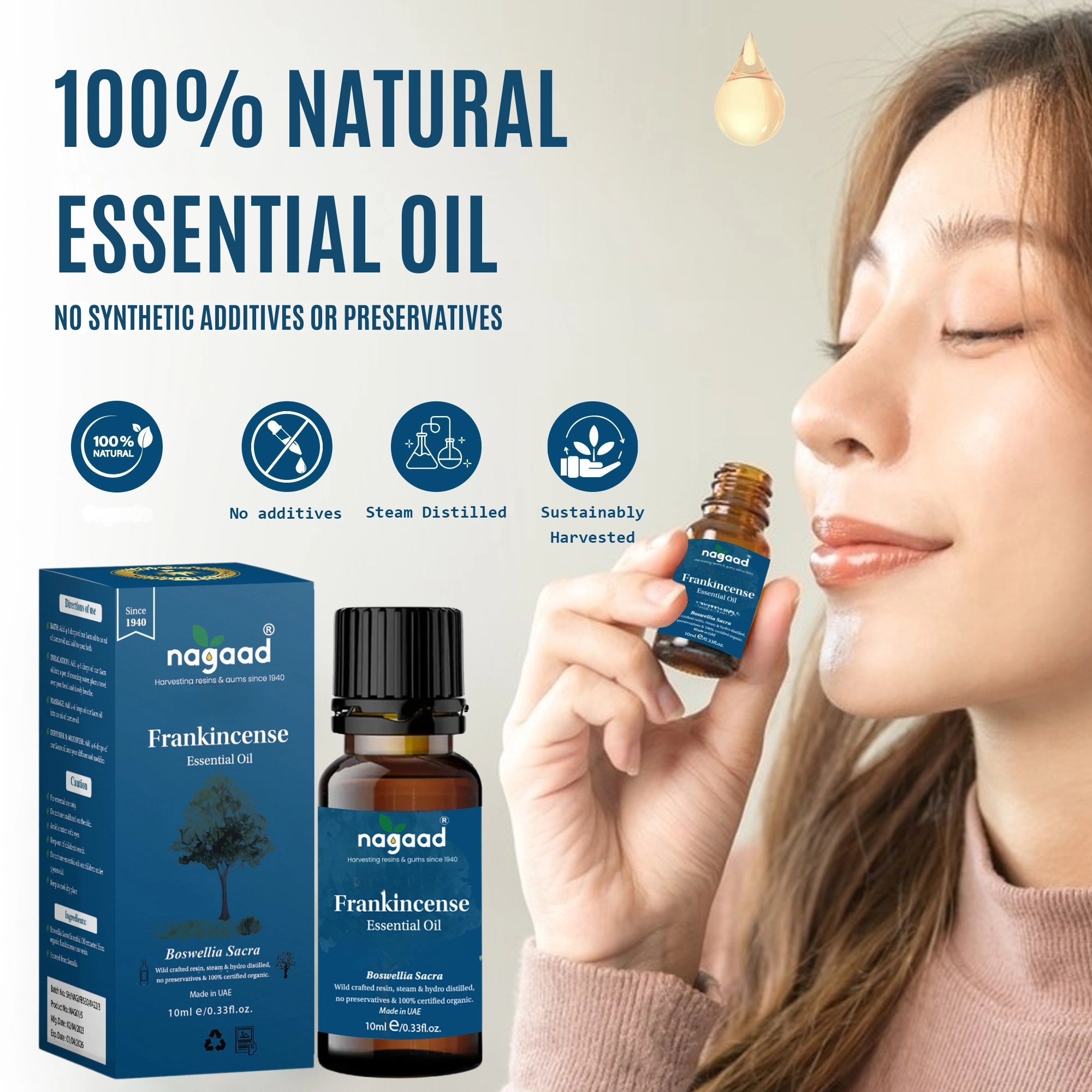 A single monstera leaf in a clear glass vase against a white background.