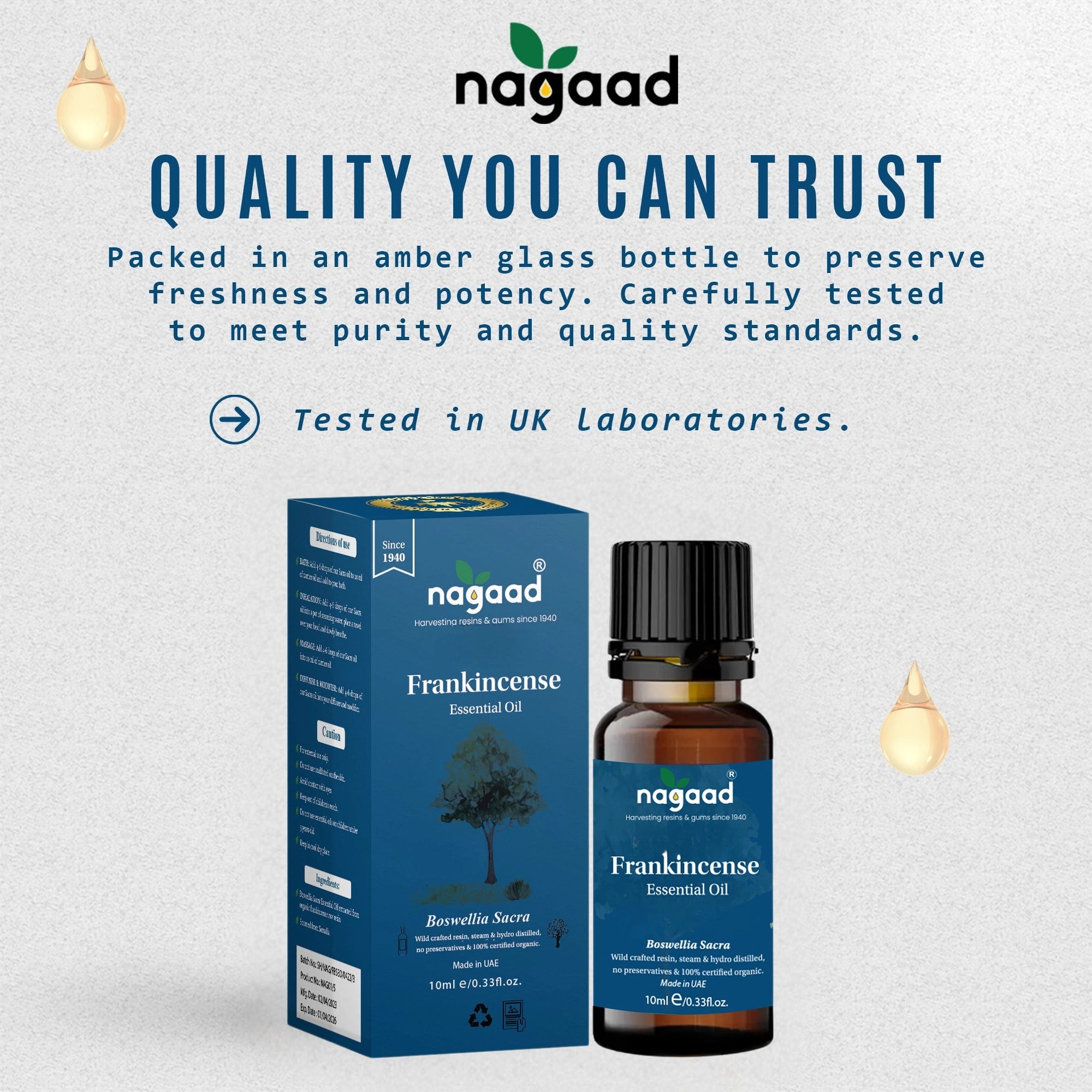 Smartphone with content on screen beside a potted plant against a white background with sunlight shadows.