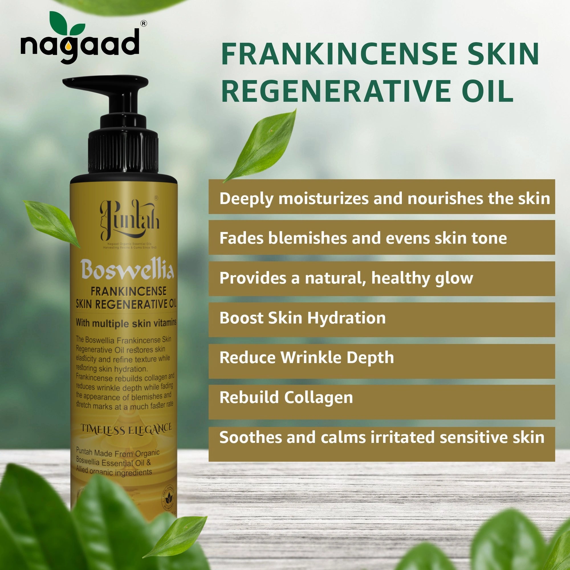 Green palm leaf beside blank white cards on a plain background.