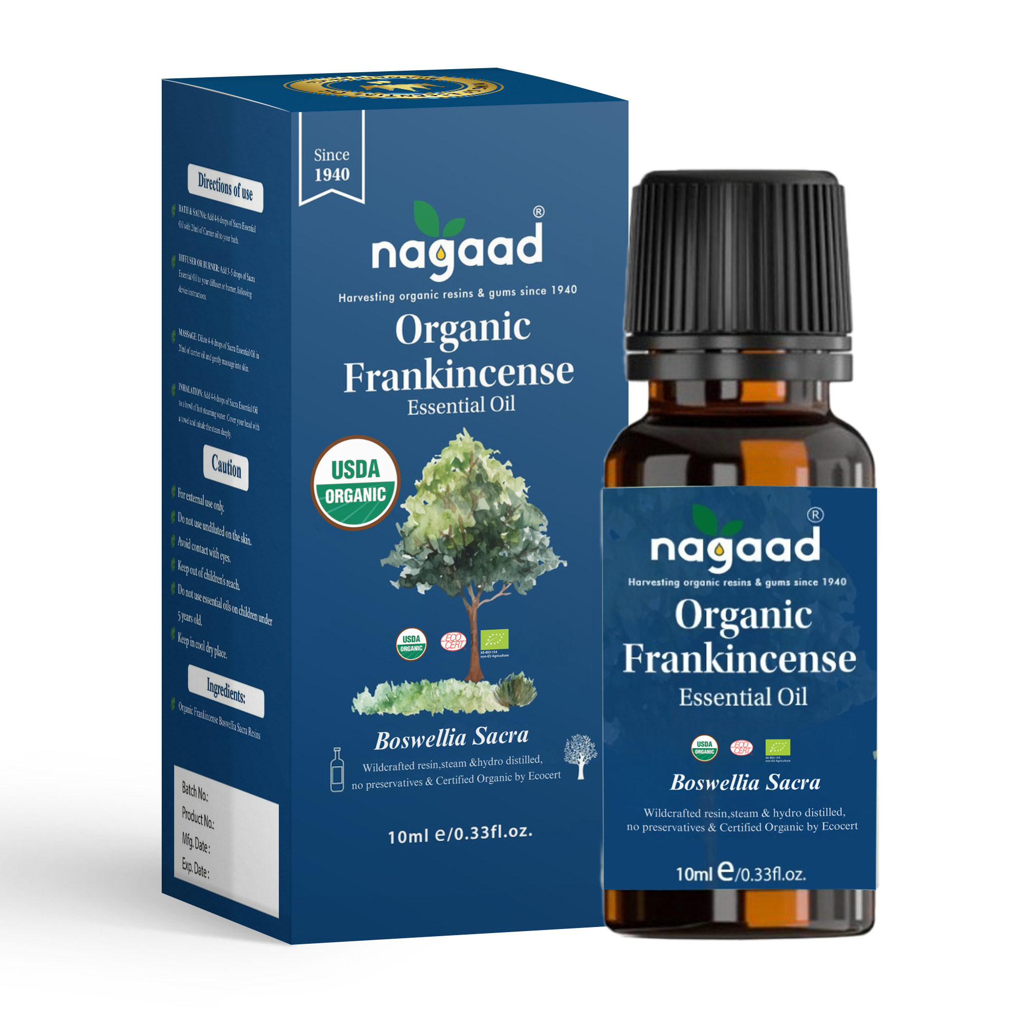 A single palm leaf in a clear glass of water on a white background.