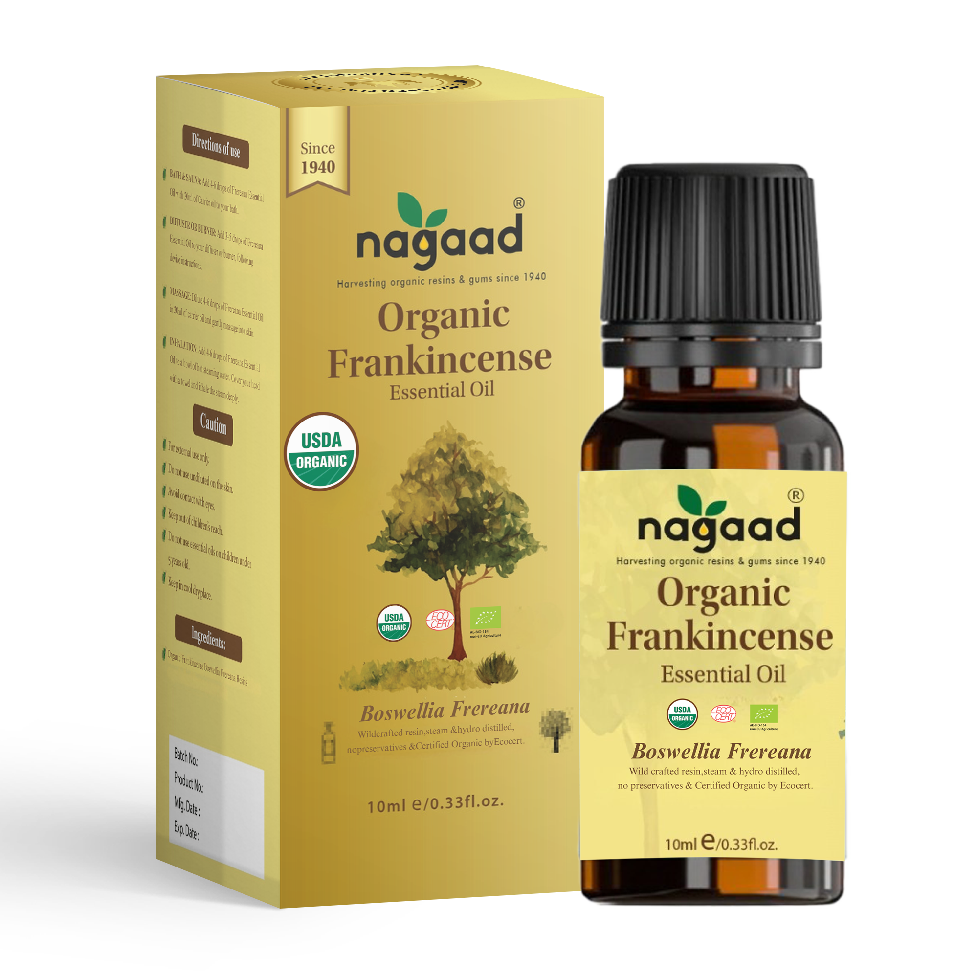 A single palm leaf in a clear glass of water on a white background.