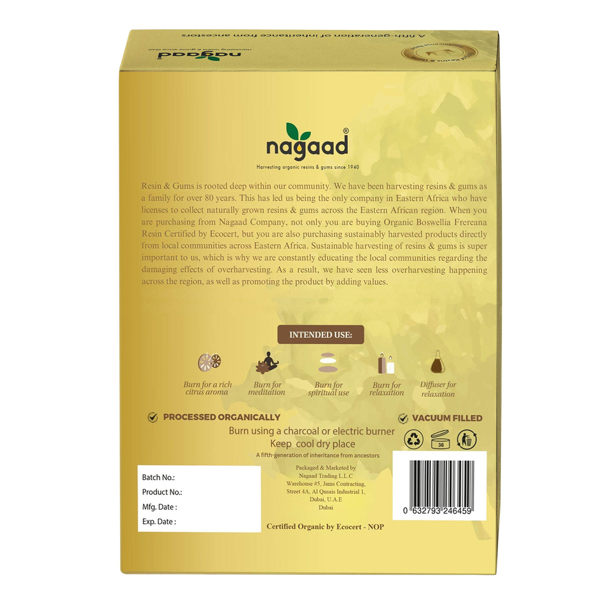 A single palm leaf in a clear glass of water on a white background.