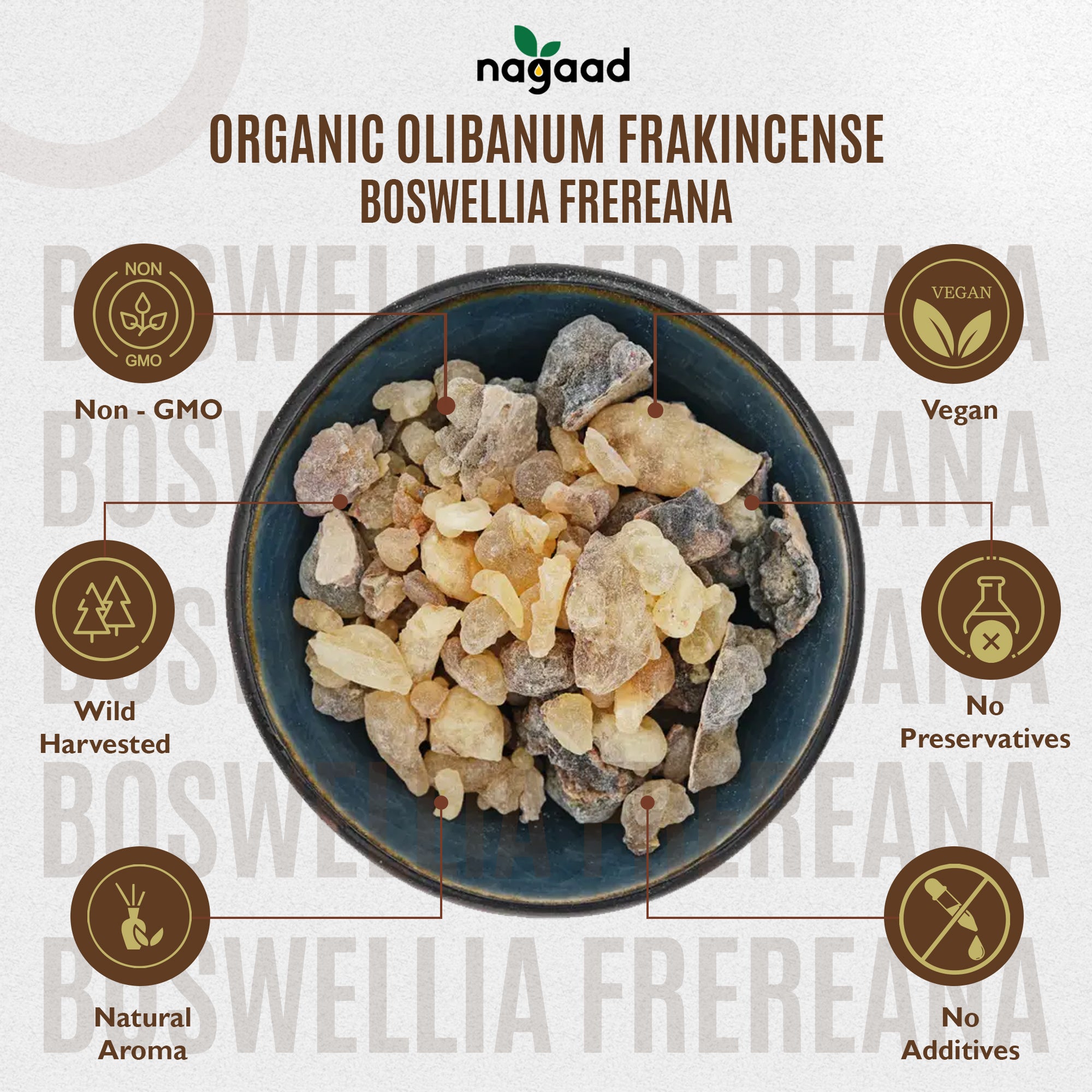 Smartphone with content on screen beside a potted plant against a white background with sunlight shadows.